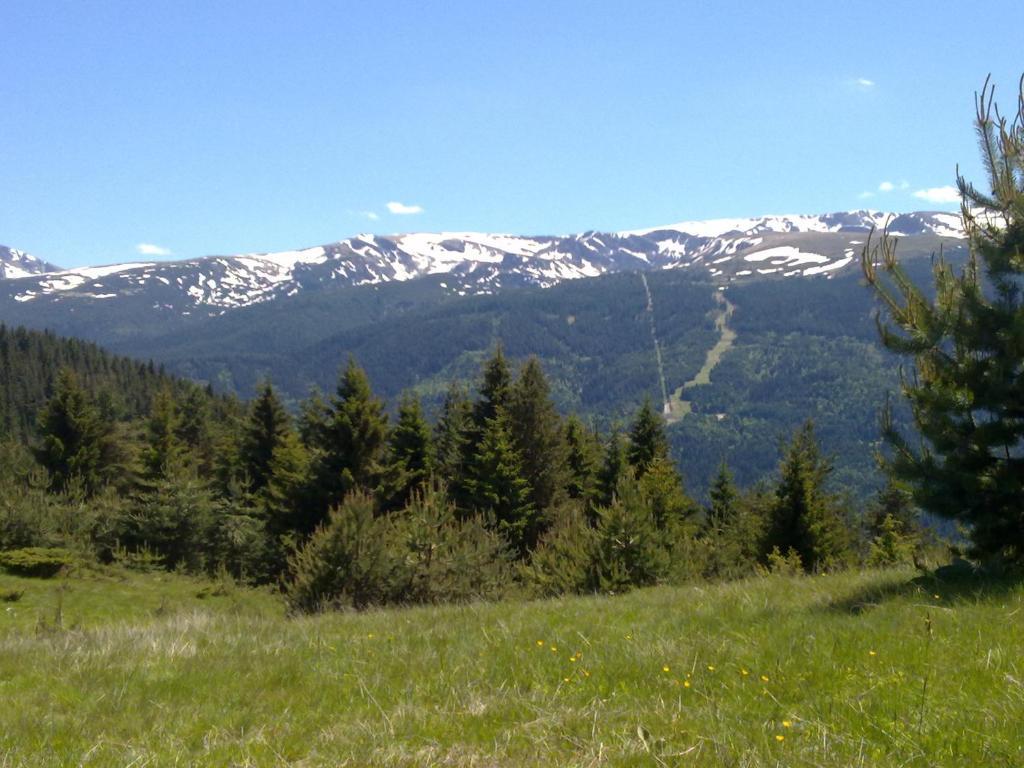 Mountain Dreams Apartment Sapareva Banya Esterno foto